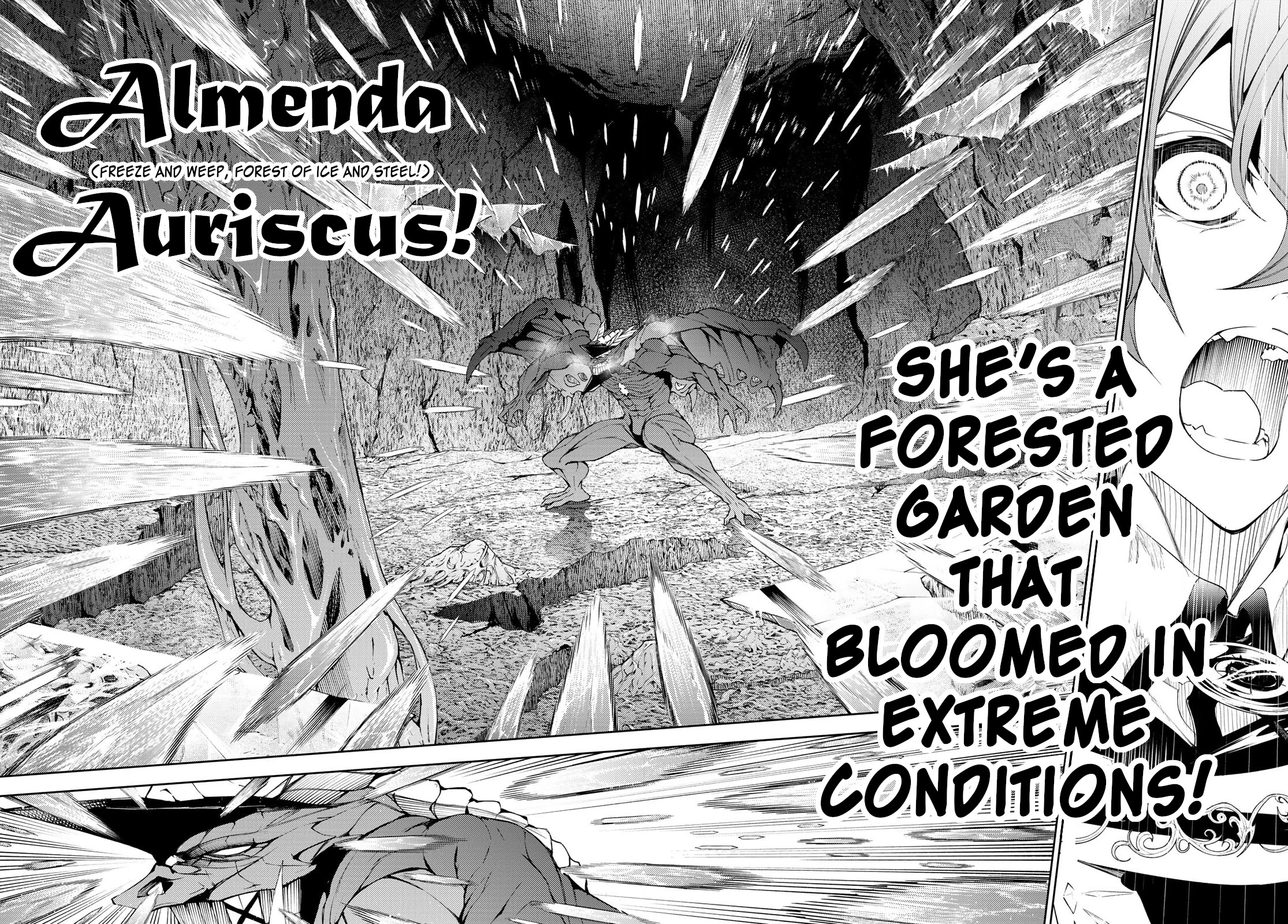 Read Wistoria's Wand and Sword EN Manga Online