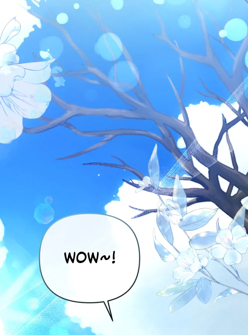 Read You Will Pay With Your Life For Deceiving Me EN Manga Online