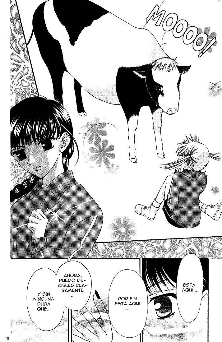 Read Fruits Basket ES Manga Online