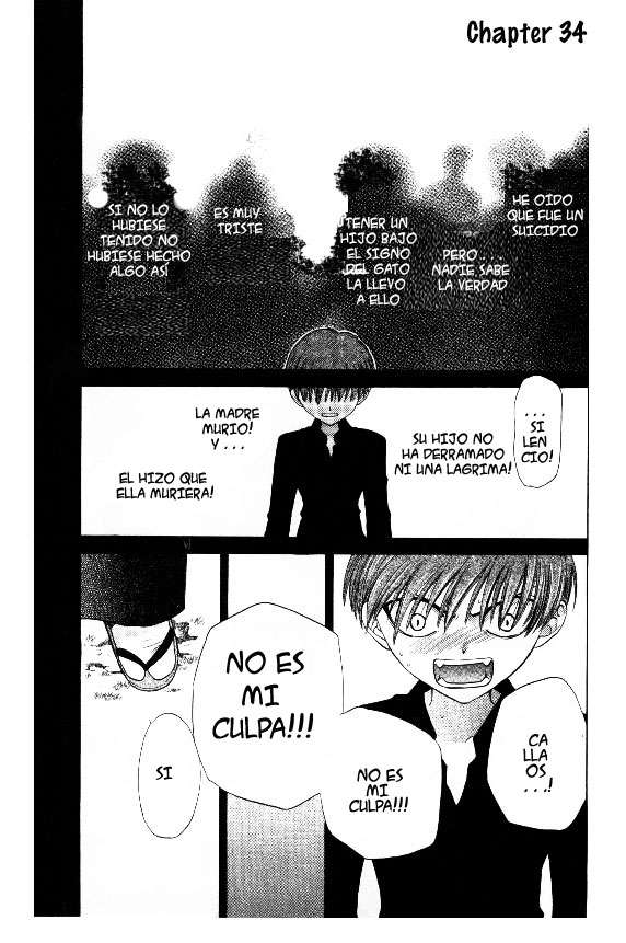 Read Fruits Basket ES Manga Online