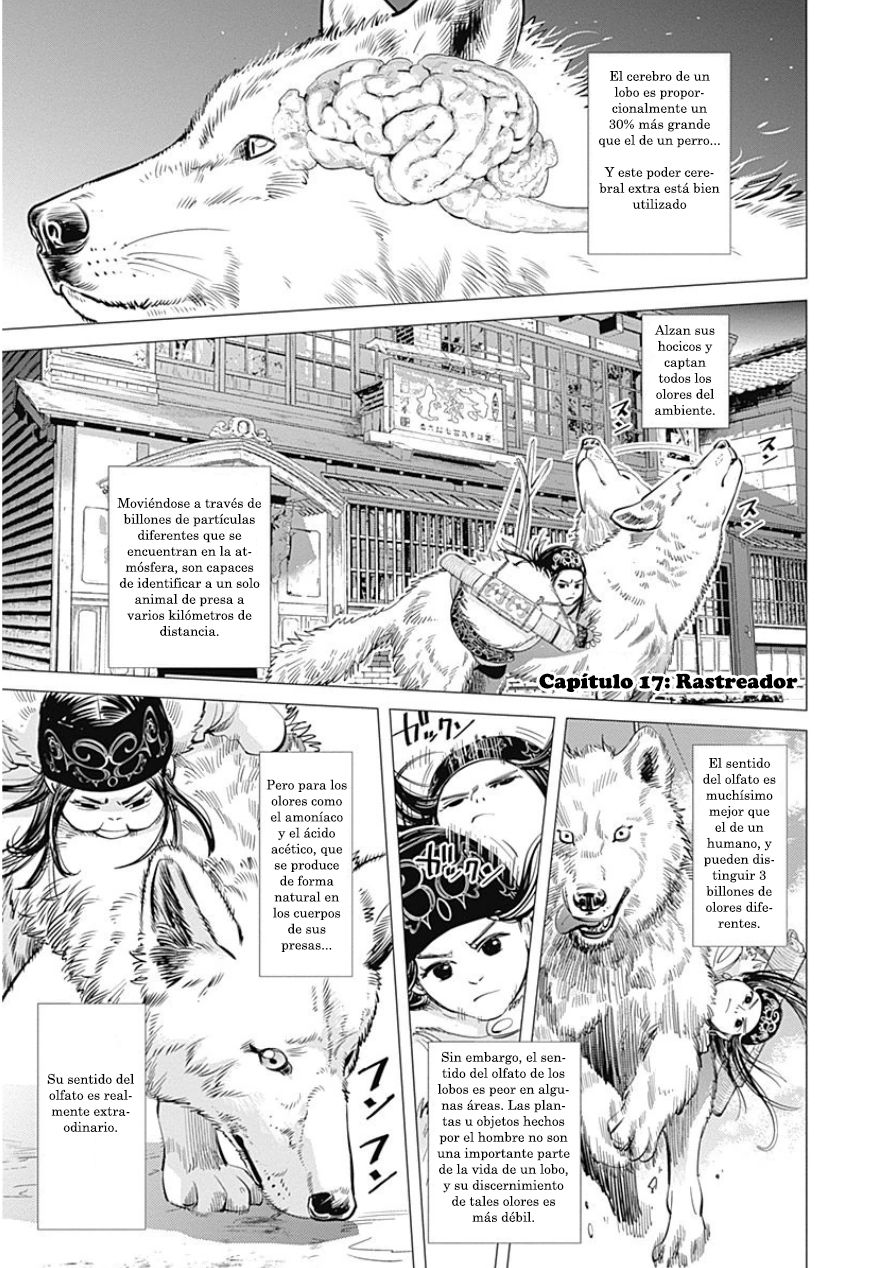 Read Golden Kamuy ES Manga Online