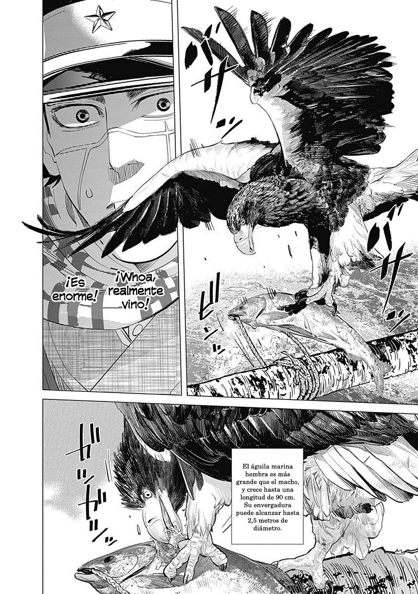 Read Golden Kamuy ES Manga Online