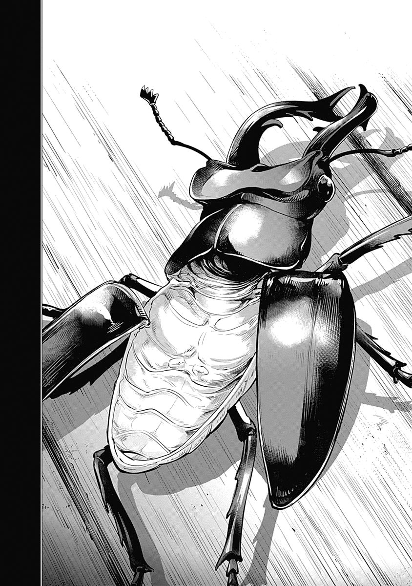 Read Golden Kamuy ES Manga Online