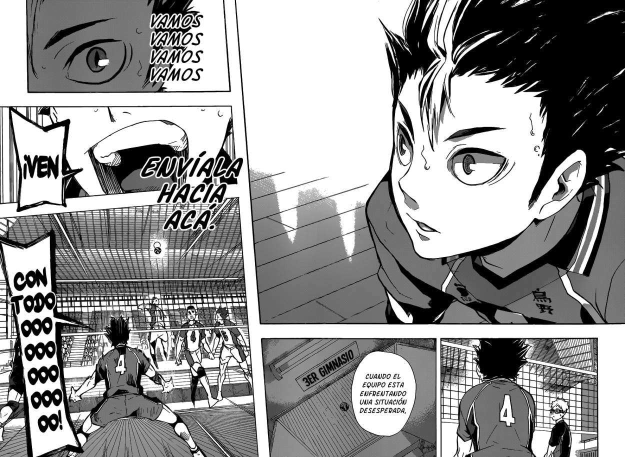 Read Haikyu!! ES Manga Online
