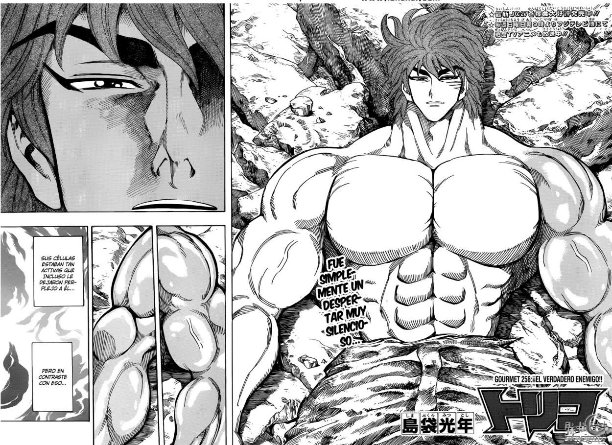 Read Toriko ES Manga Online