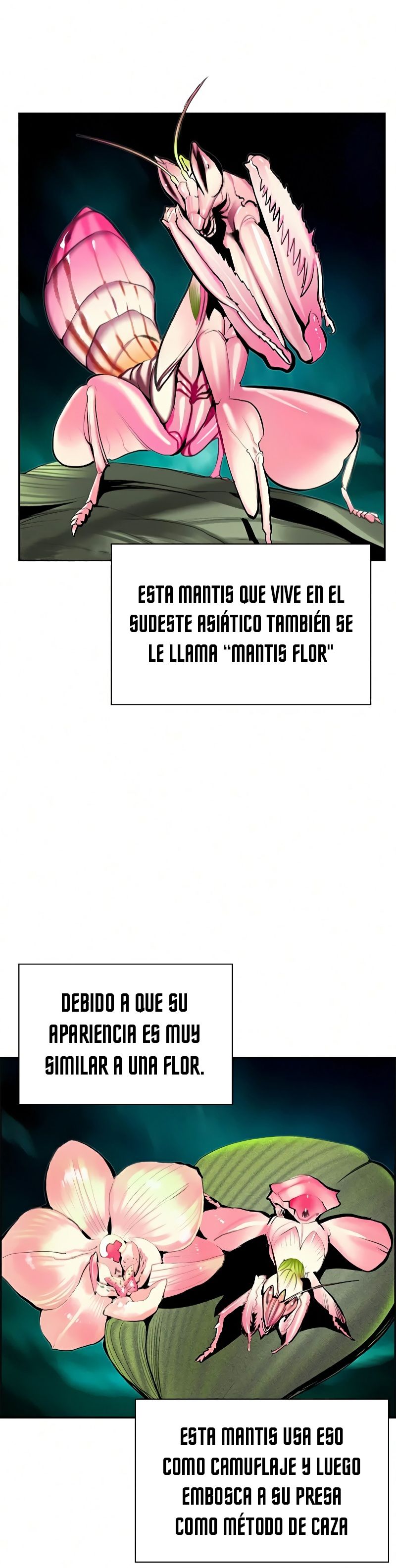 Read Zumo de la selva ES Manga Online