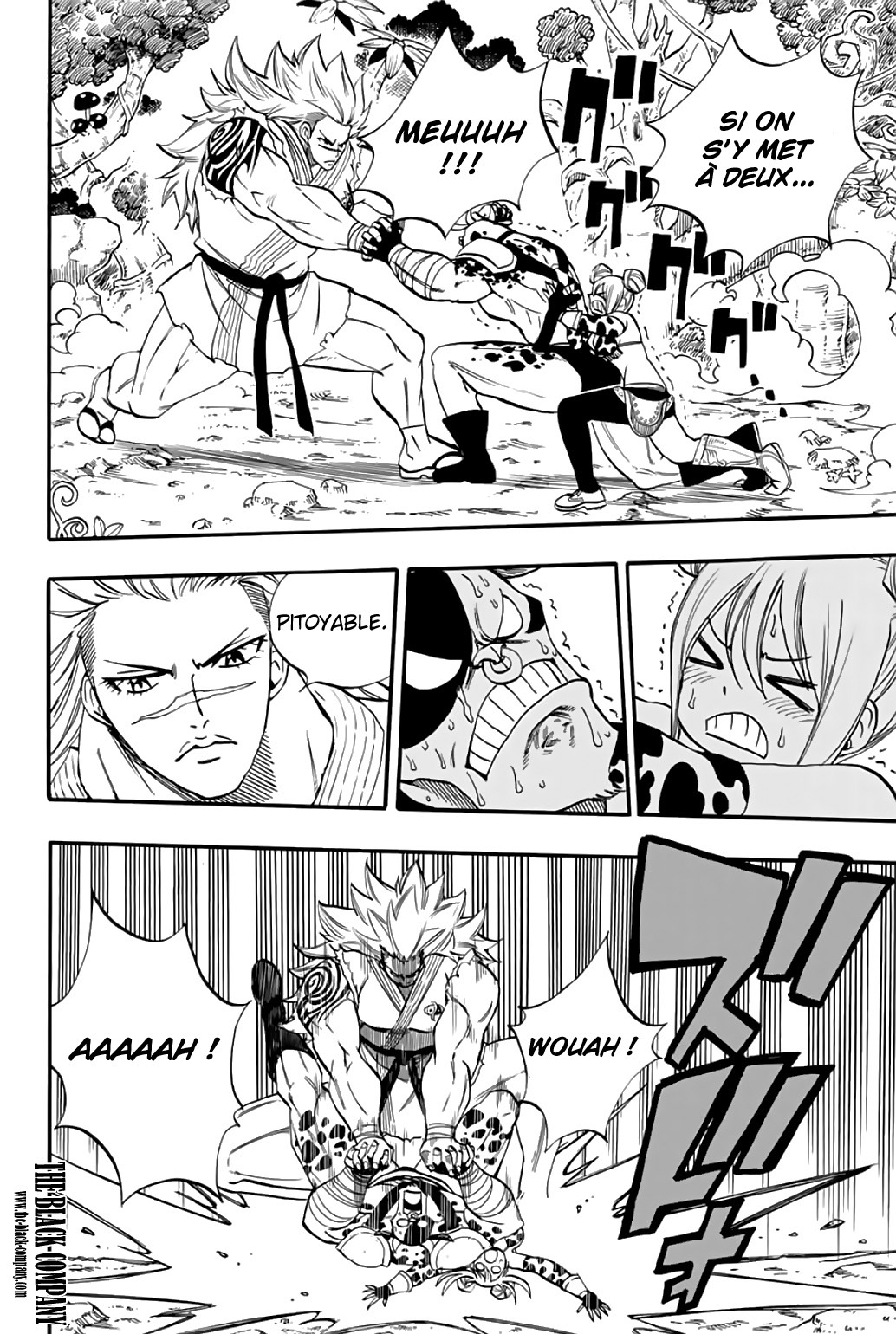 Read Fairy Tail FR Manga Online