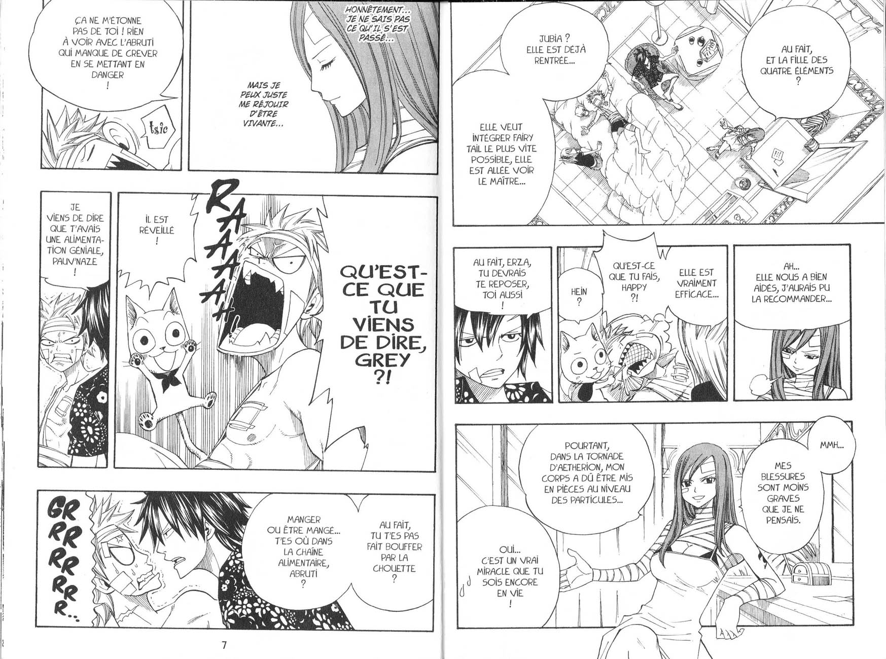 Read Fairy Tail FR Manga Online