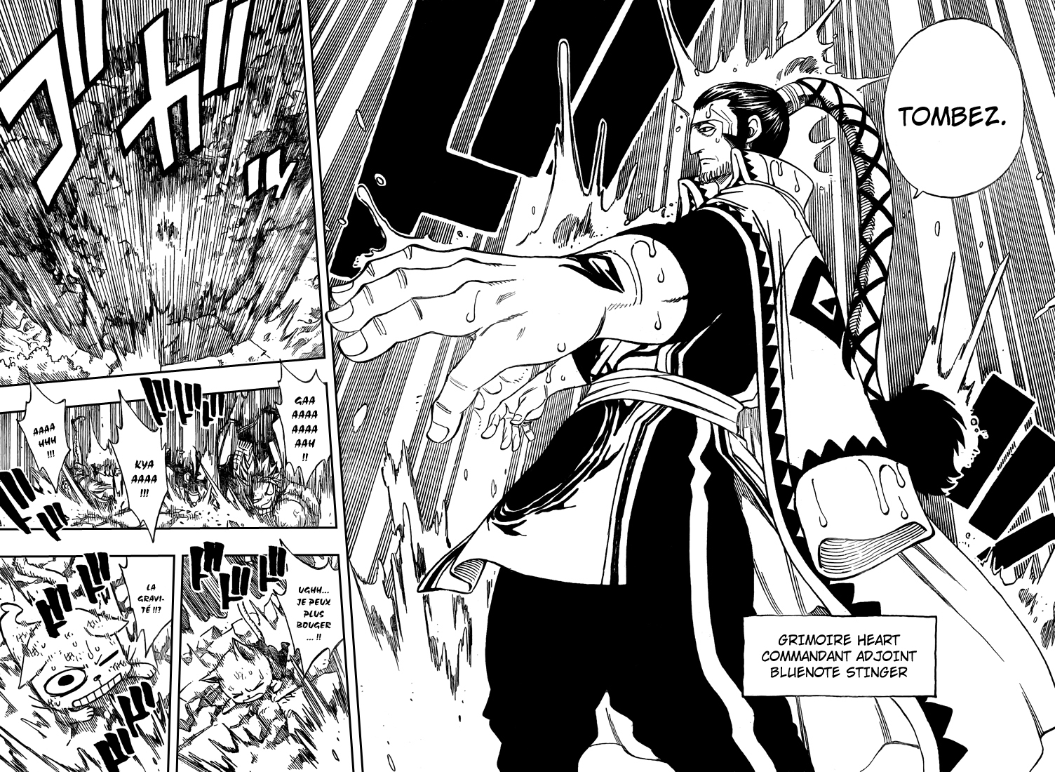 Read Fairy Tail FR Manga Online
