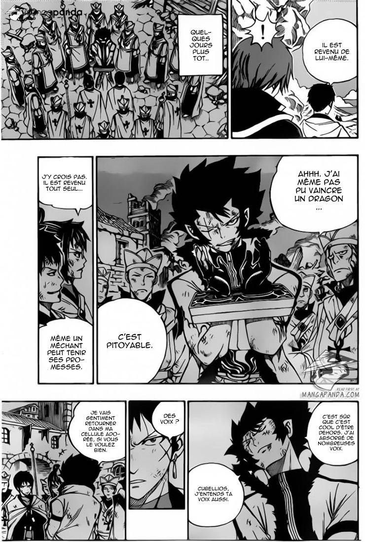Read Fairy Tail FR Manga Online