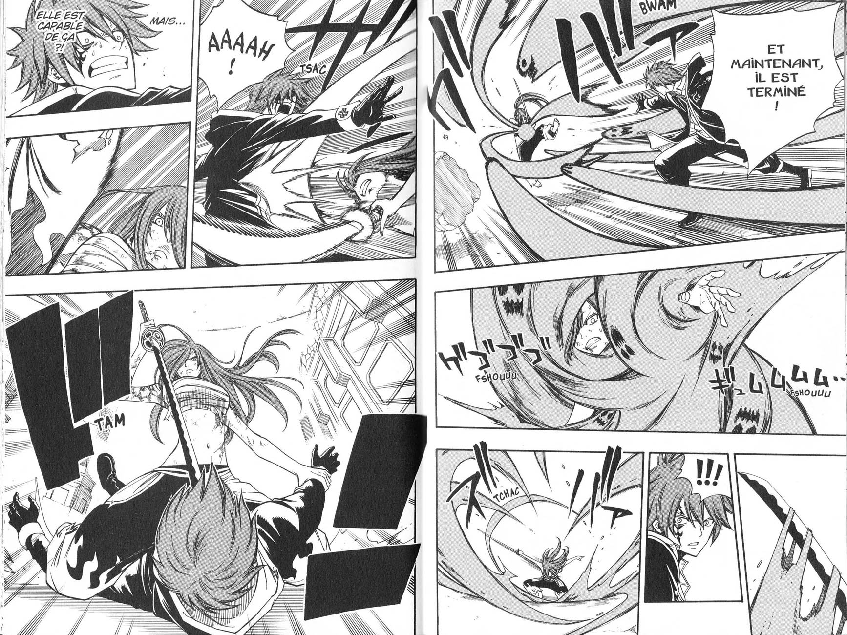 Read Fairy Tail FR Manga Online