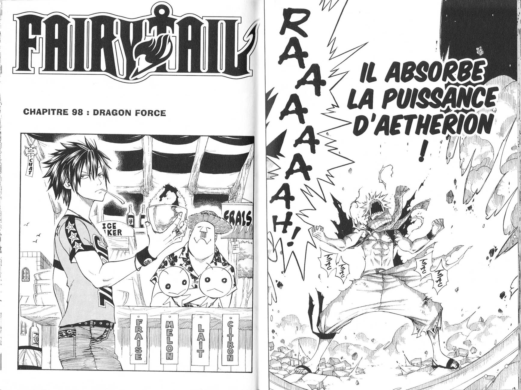 Read Fairy Tail FR Manga Online