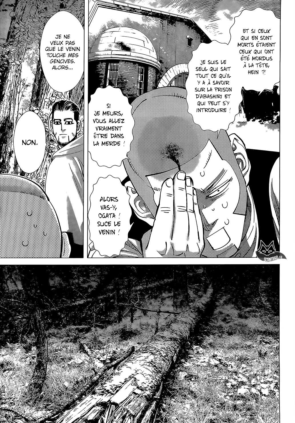 Read Golden Kamuy FR Manga Online