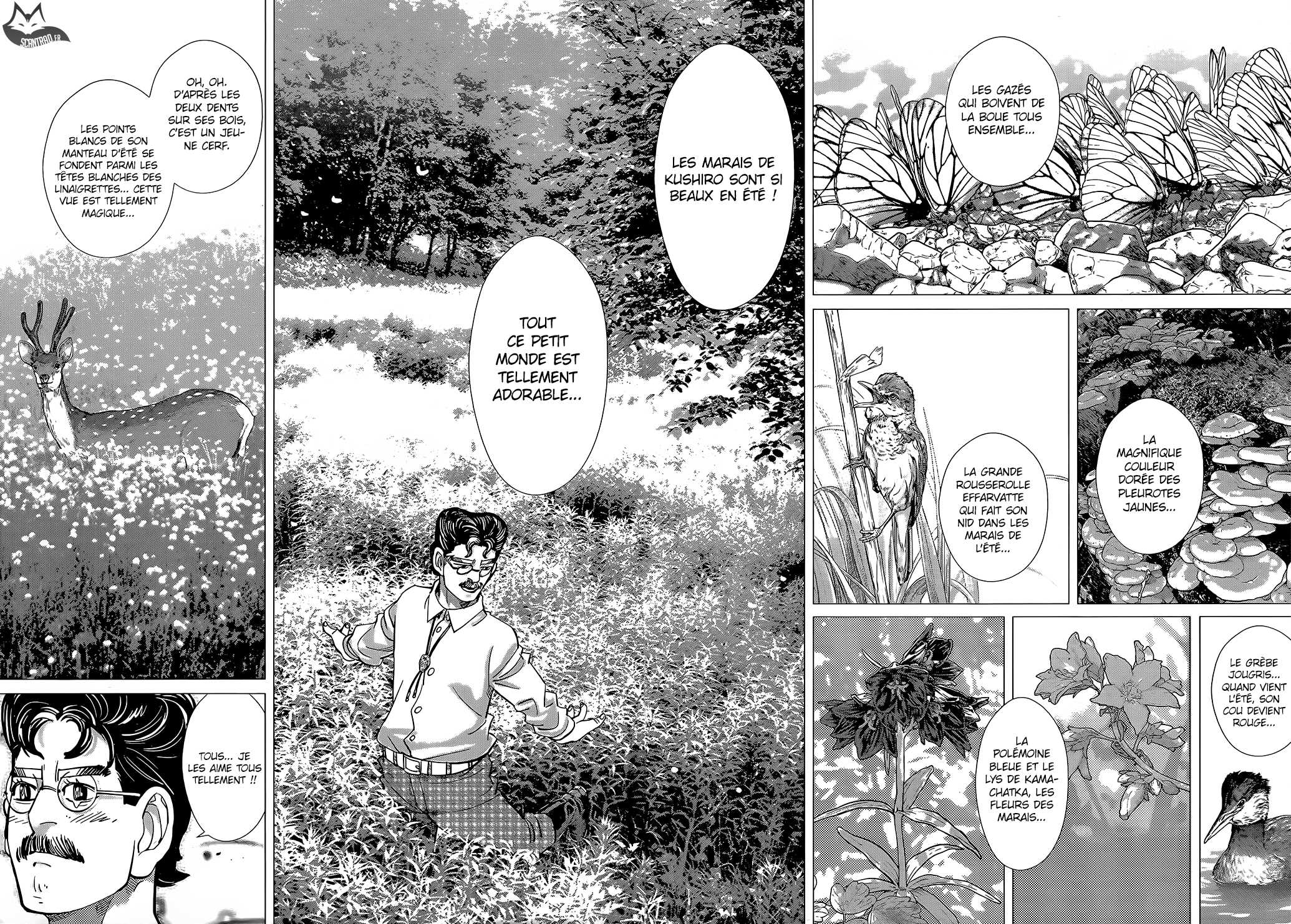 Read Golden Kamuy FR Manga Online