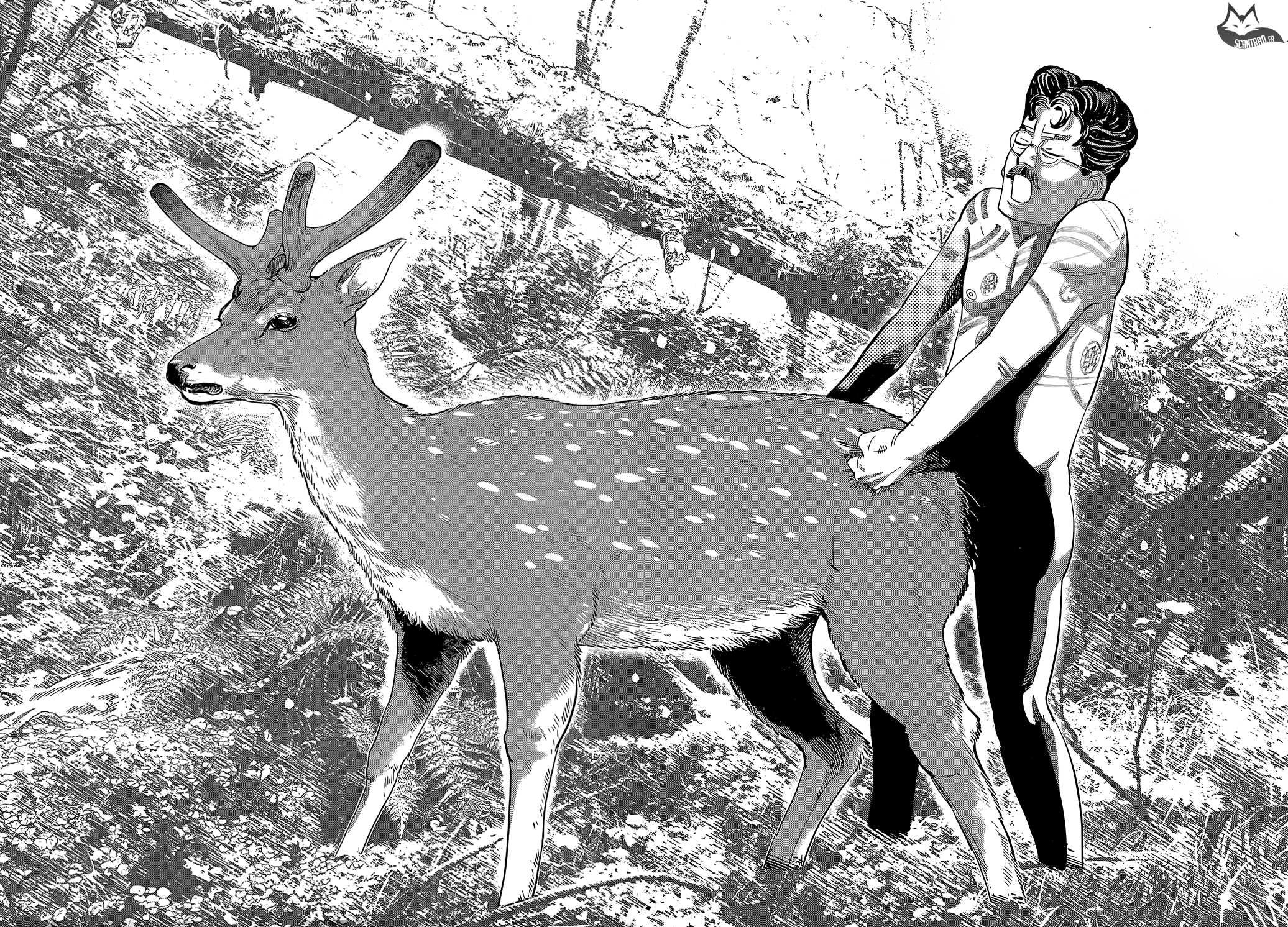 Read Golden Kamuy FR Manga Online