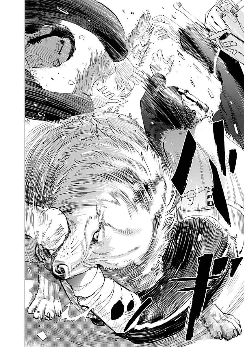 Read Golden Kamuy FR Manga Online