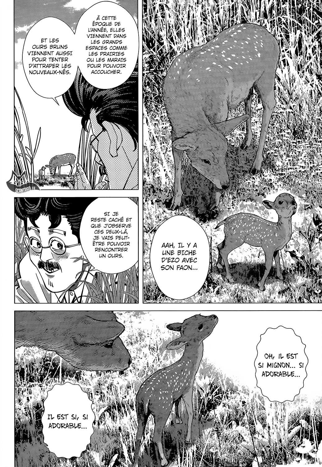 Read Golden Kamuy FR Manga Online