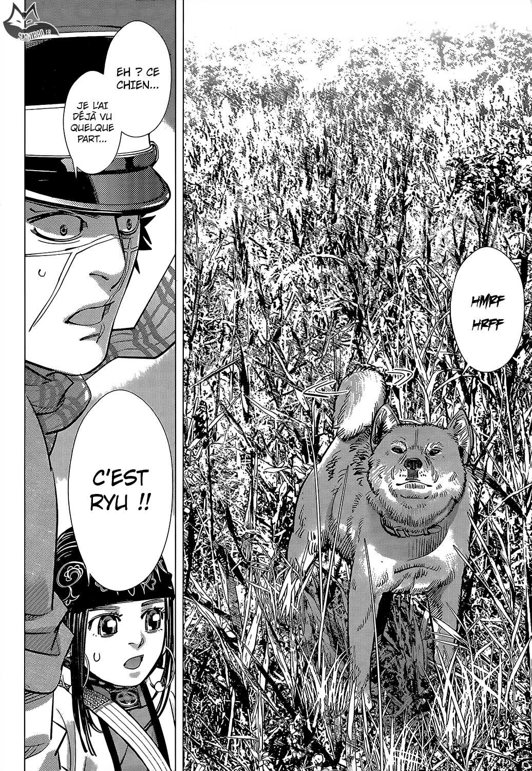 Read Golden Kamuy FR Manga Online