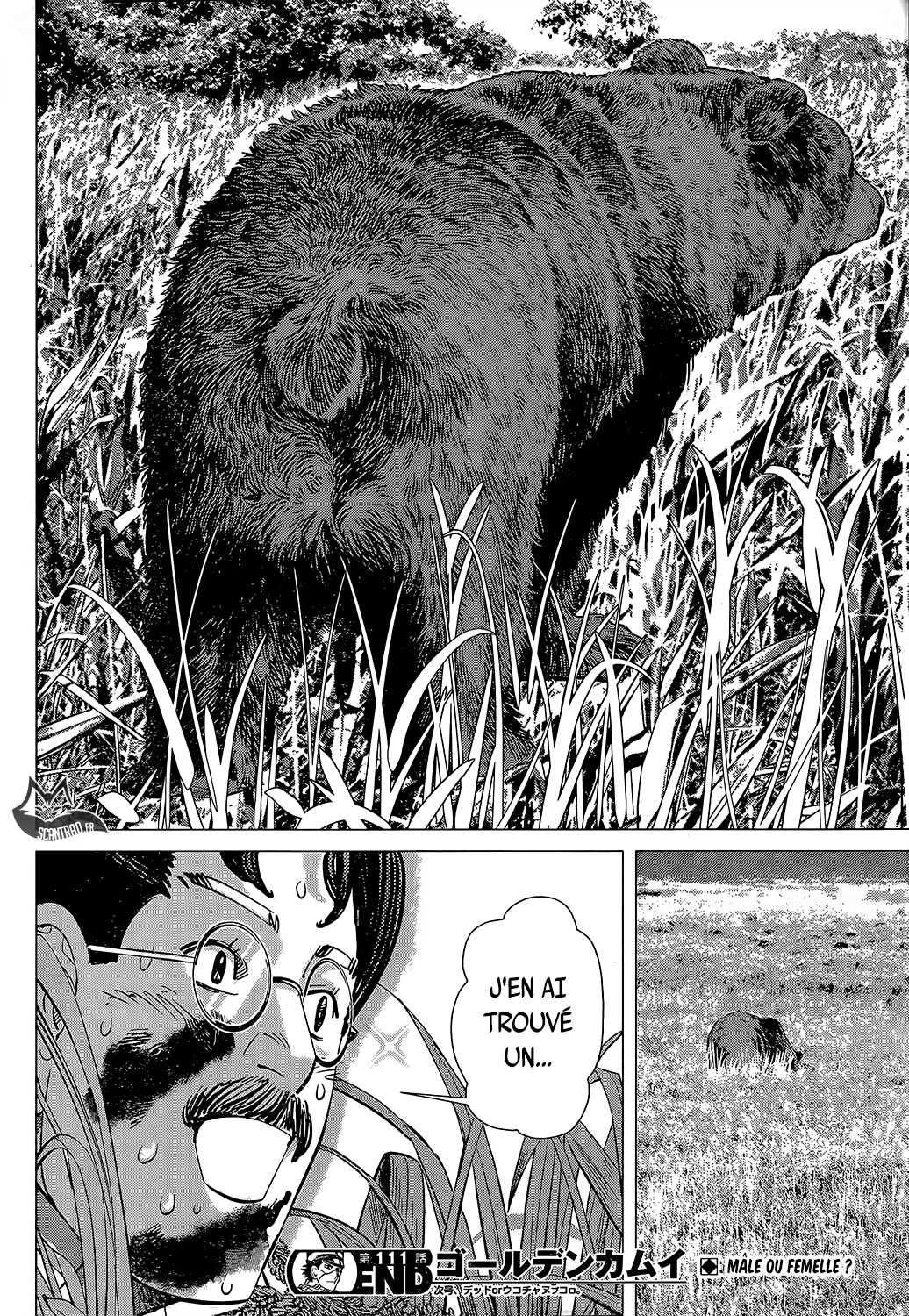 Read Golden Kamuy FR Manga Online