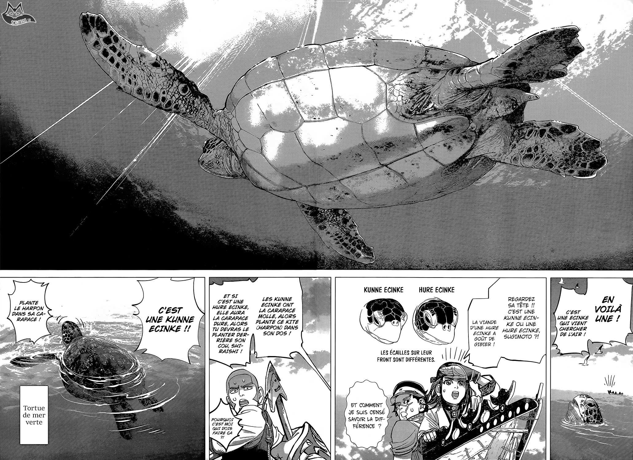 Read Golden Kamuy FR Manga Online