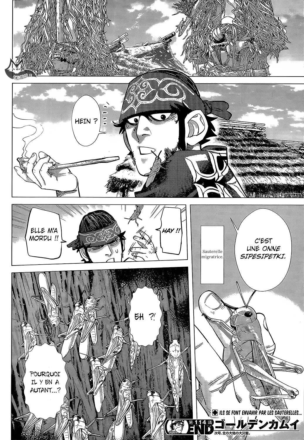 Read Golden Kamuy FR Manga Online