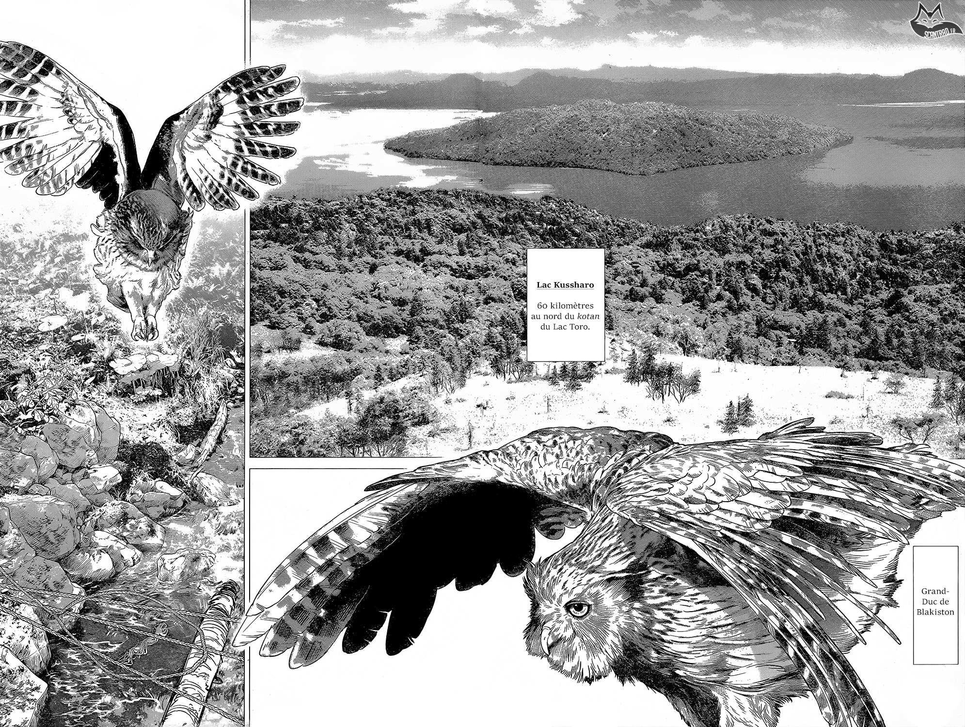 Read Golden Kamuy FR Manga Online