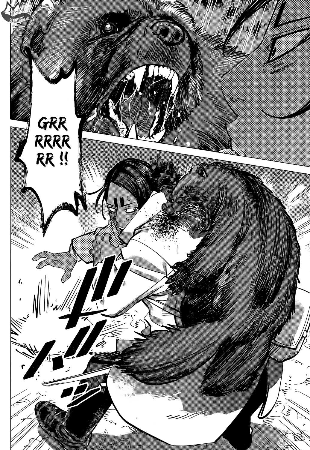 Read Golden Kamuy FR Manga Online