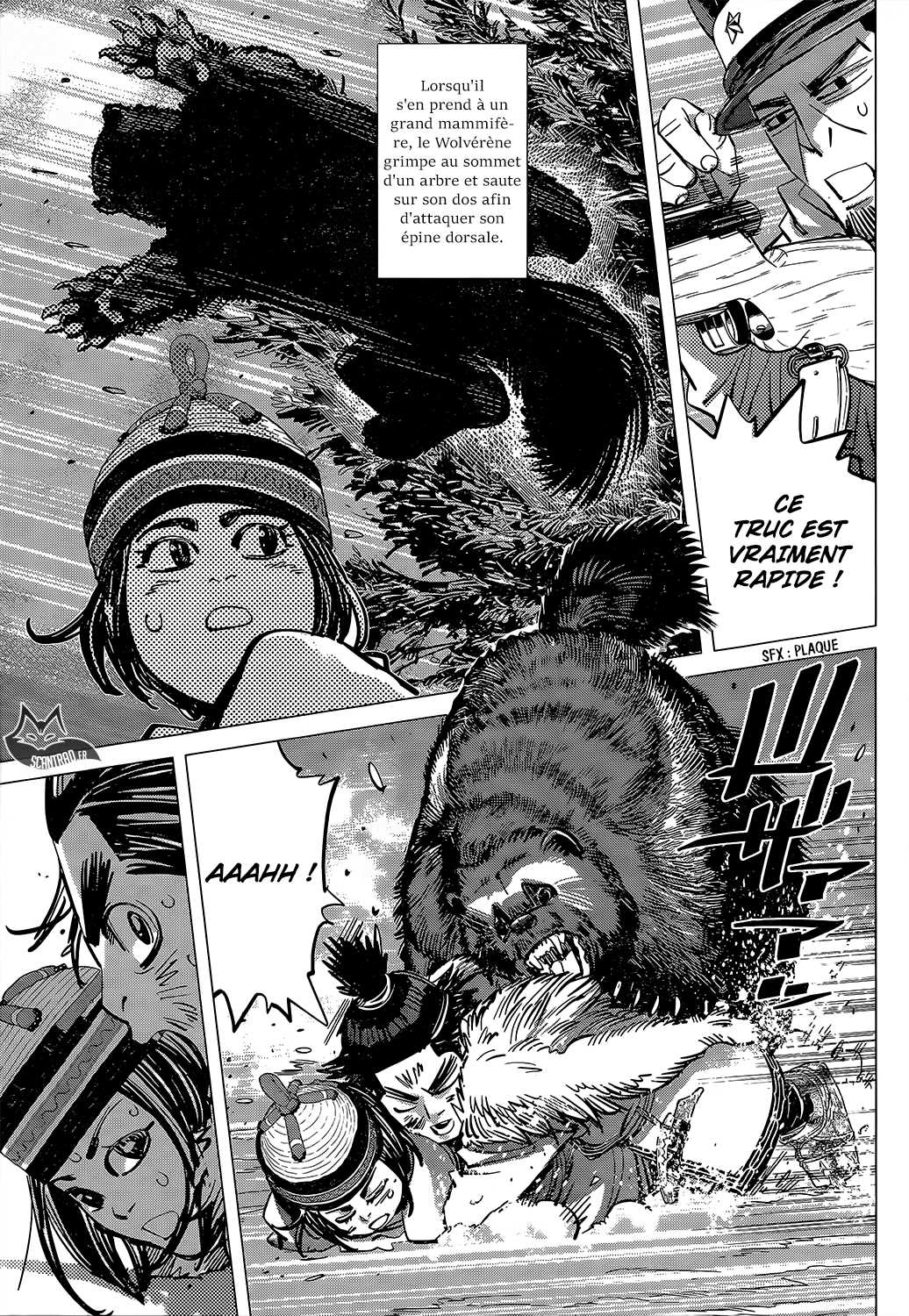 Read Golden Kamuy FR Manga Online