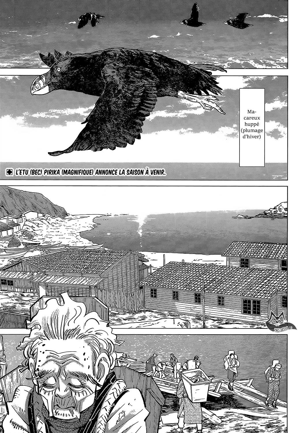 Read Golden Kamuy FR Manga Online