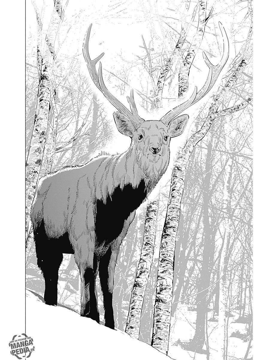 Read Golden Kamuy FR Manga Online