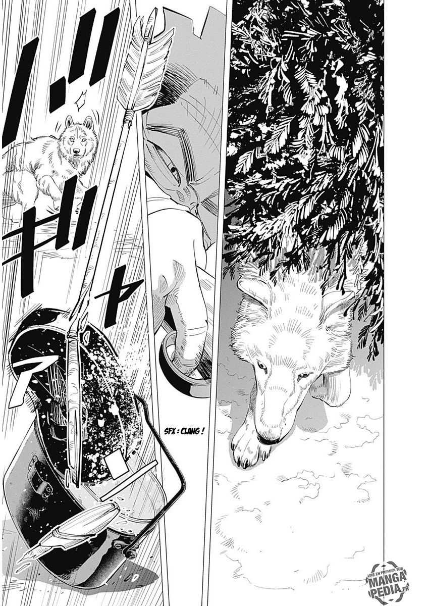 Read Golden Kamuy FR Manga Online