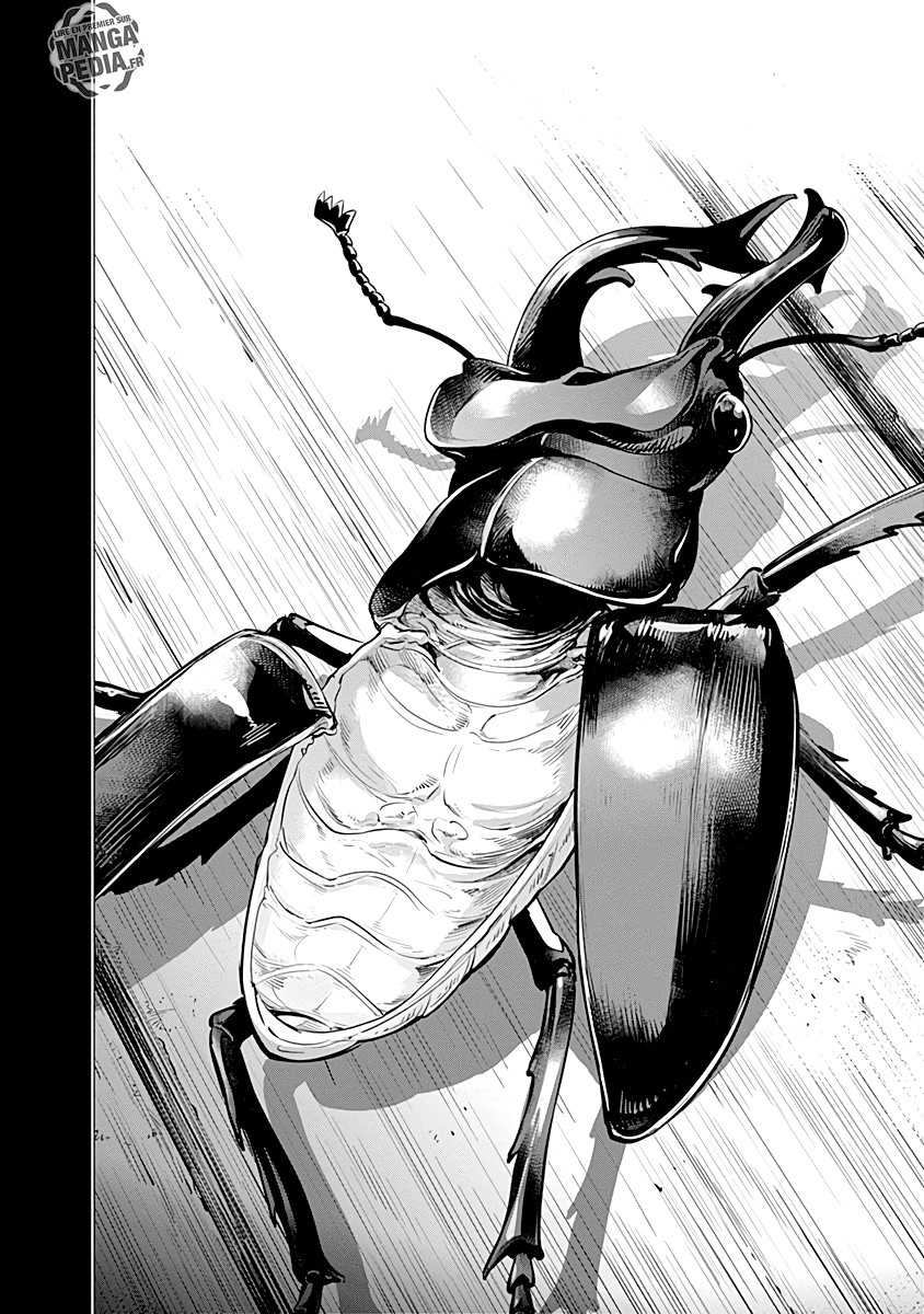 Read Golden Kamuy FR Manga Online
