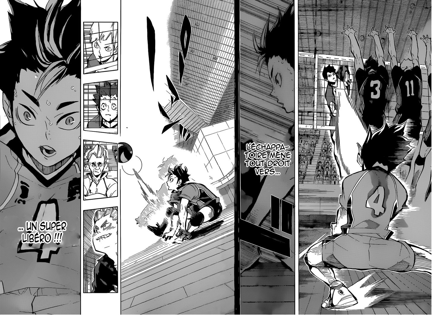 Read Haikyuu FR Manga Online