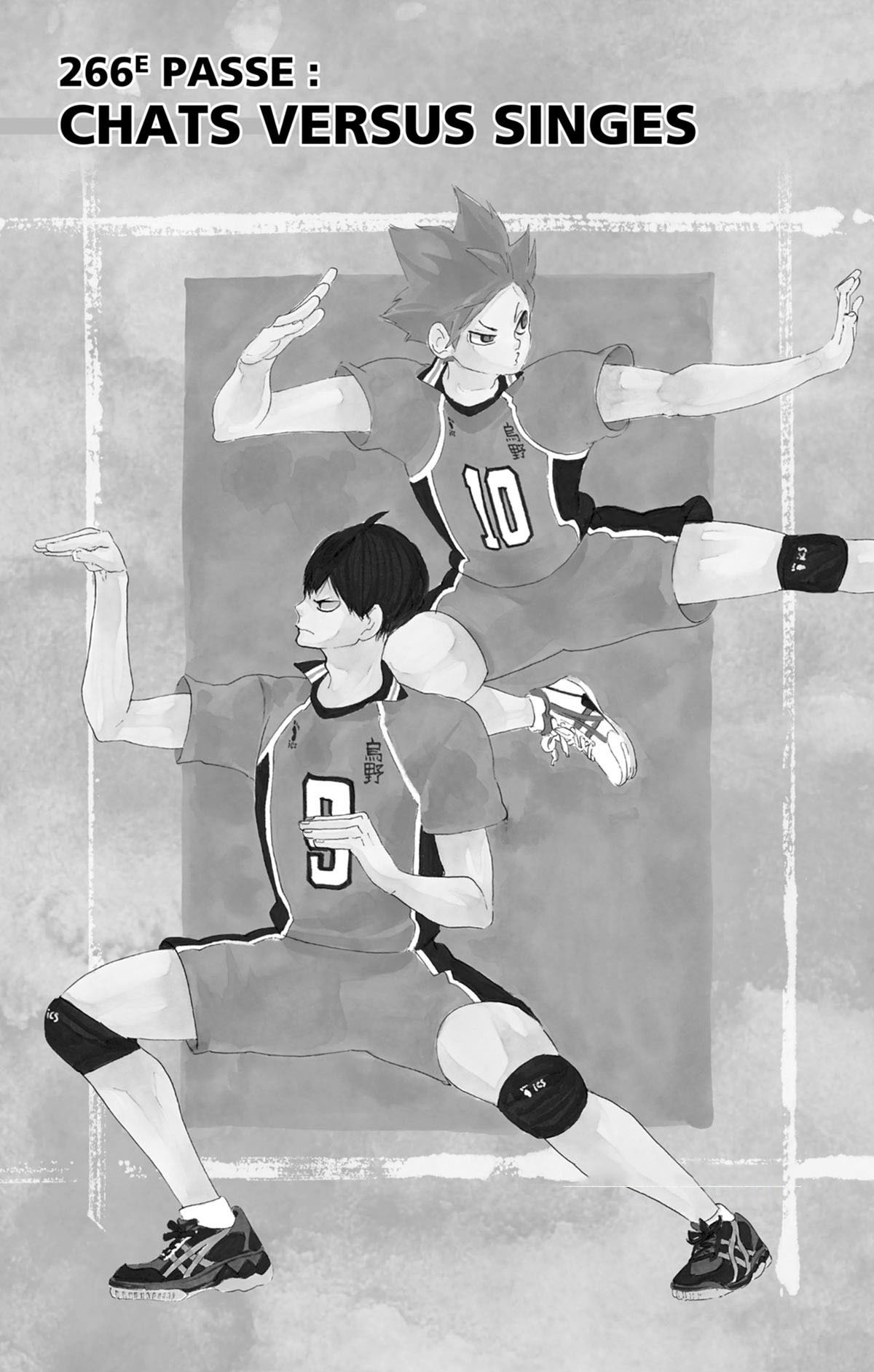 Read Haikyuu FR Manga Online