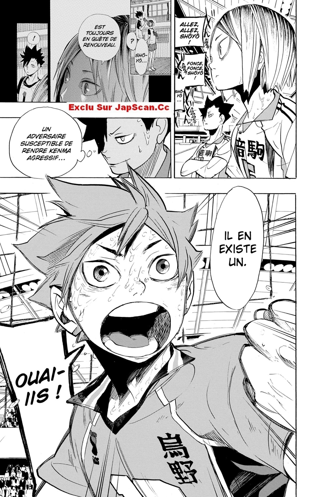 Read Haikyuu FR Manga Online