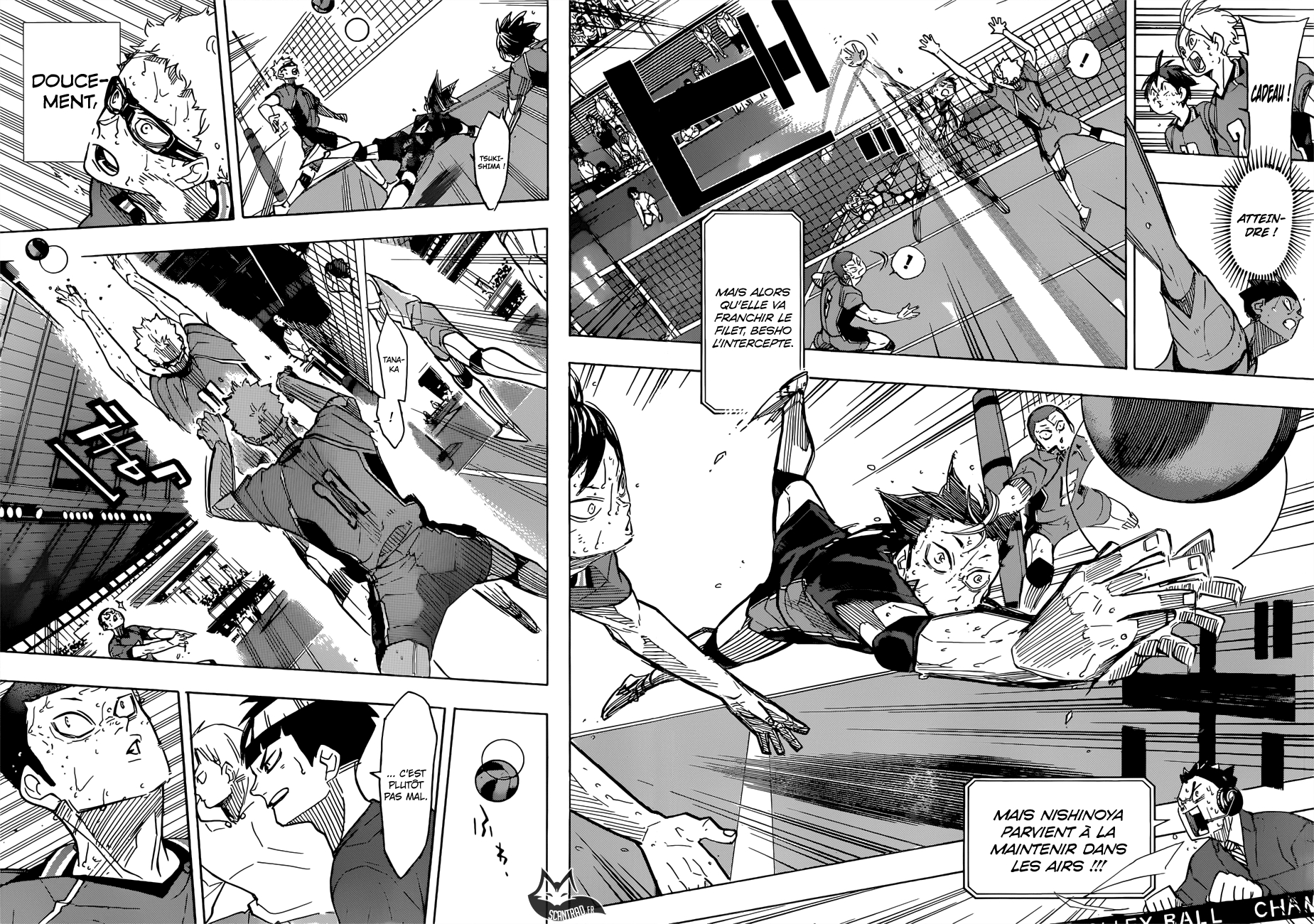 Read Haikyuu FR Manga Online