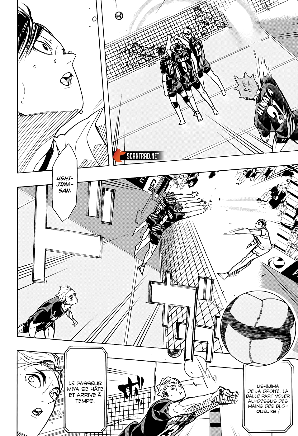 Read Haikyuu FR Manga Online