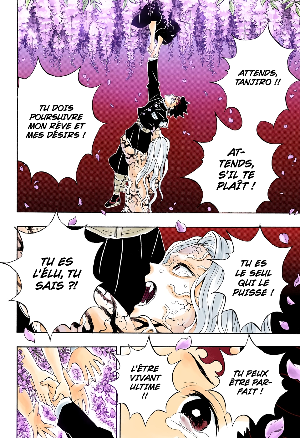 Read Kimetsu No Yaiba FR Manga Online