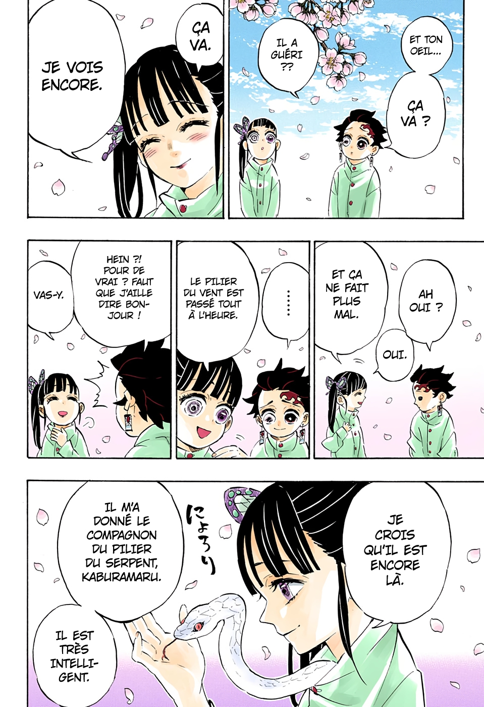 Read Kimetsu No Yaiba FR Manga Online