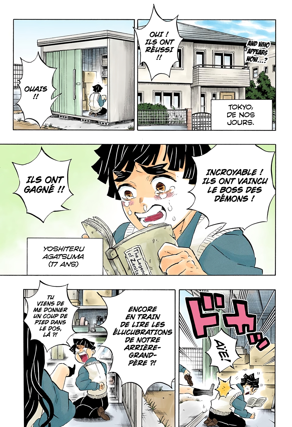 Read Kimetsu No Yaiba FR Manga Online