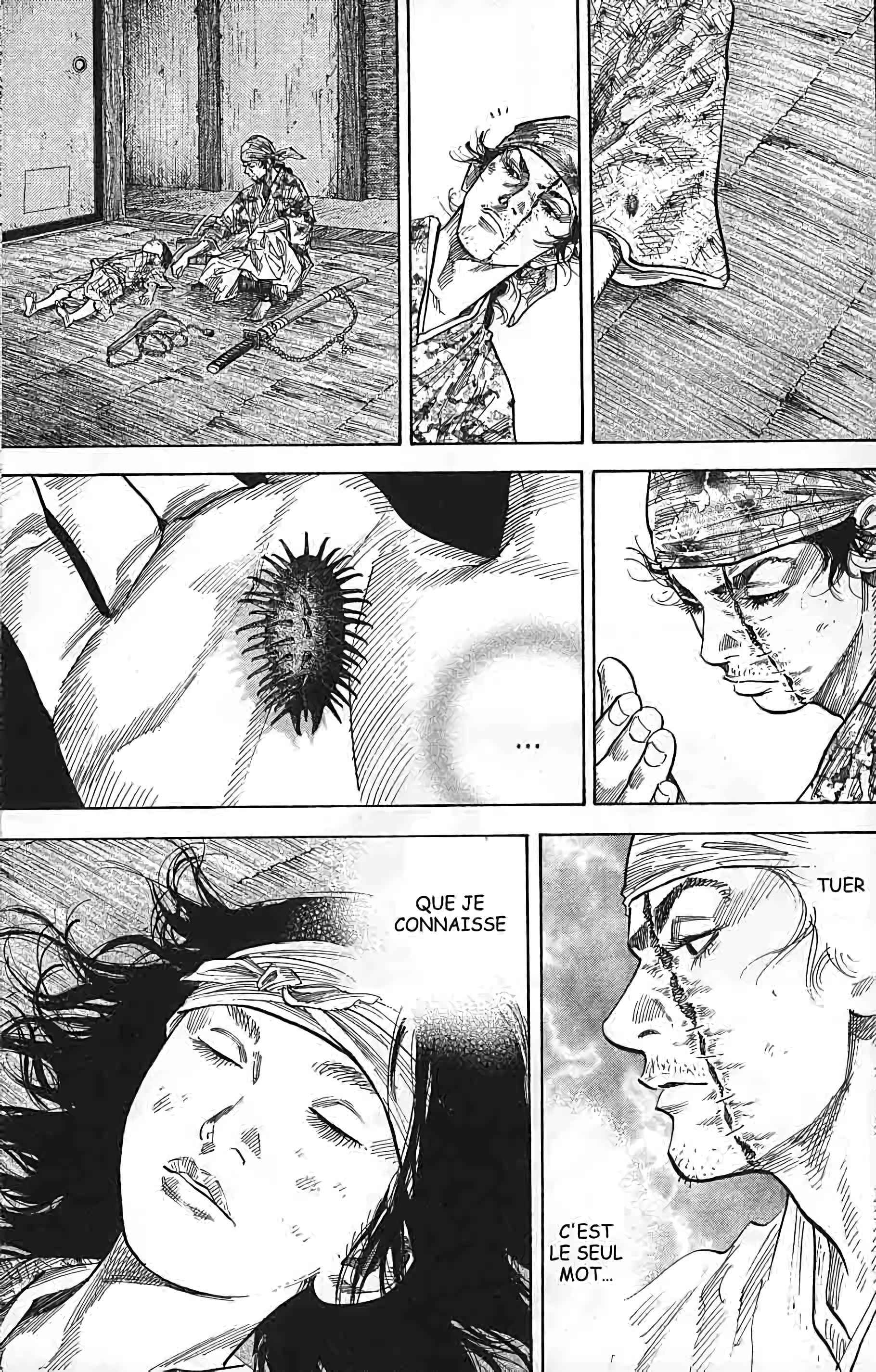 Read Vagabond FR Manga Online
