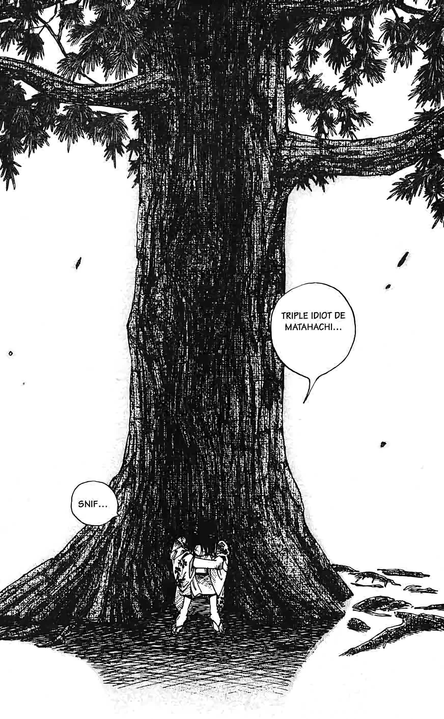 Read Vagabond FR Manga Online