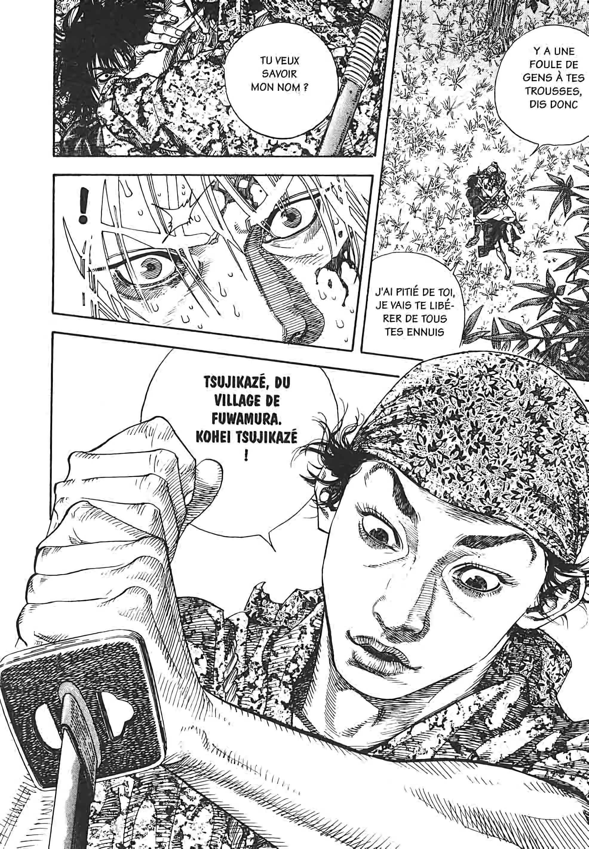 Read Vagabond FR Manga Online