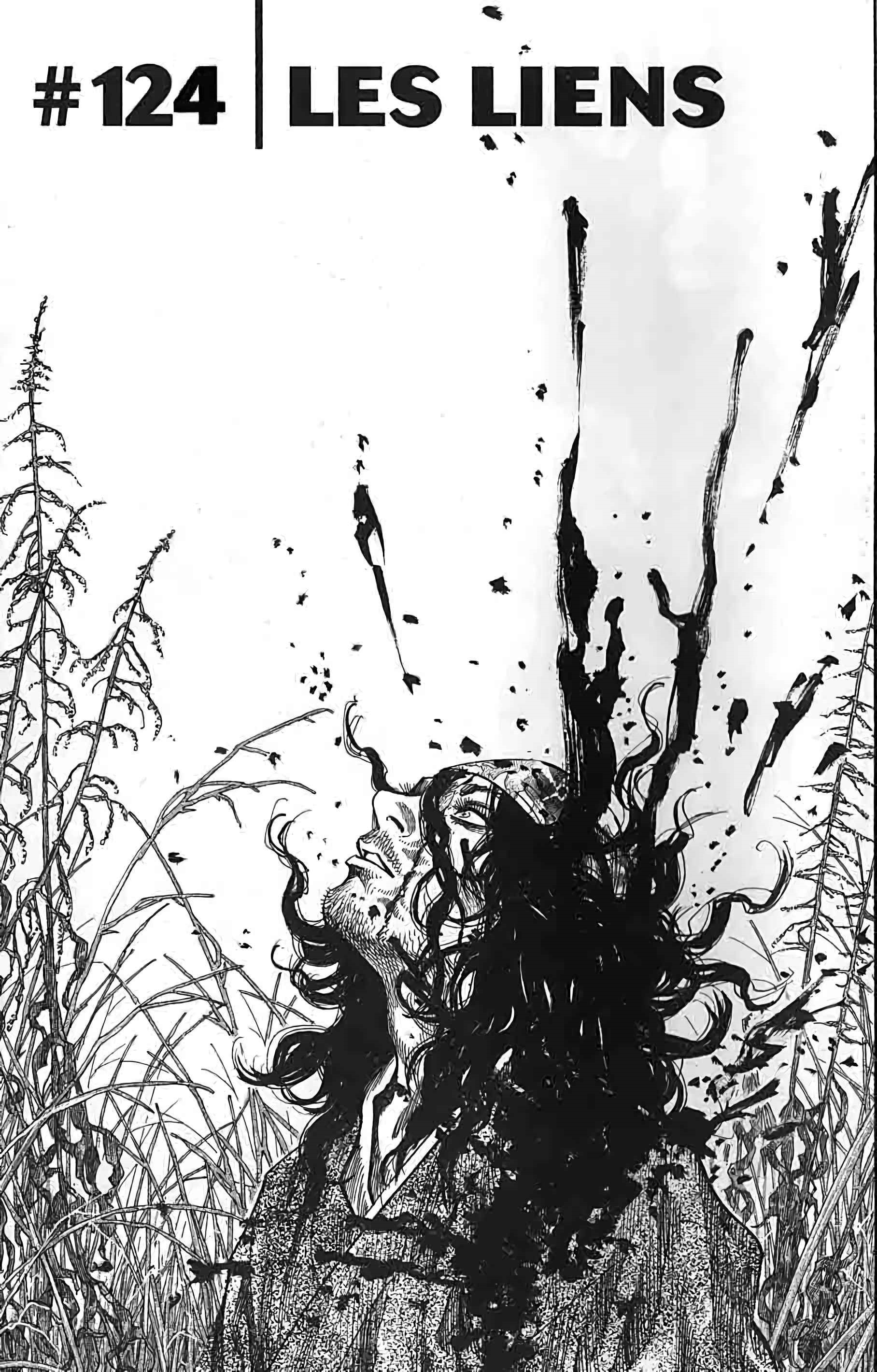 Read Vagabond FR Manga Online