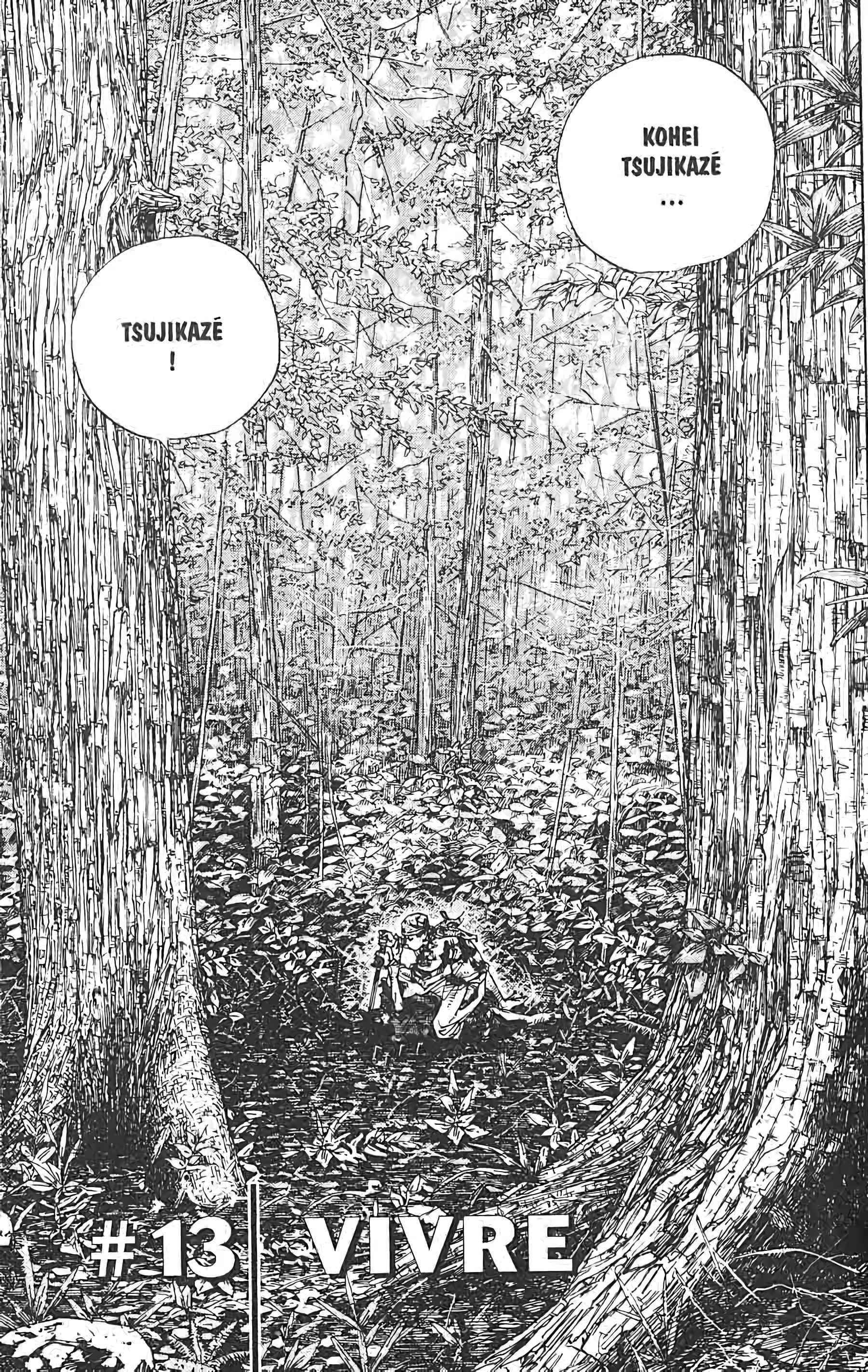 Read Vagabond FR Manga Online
