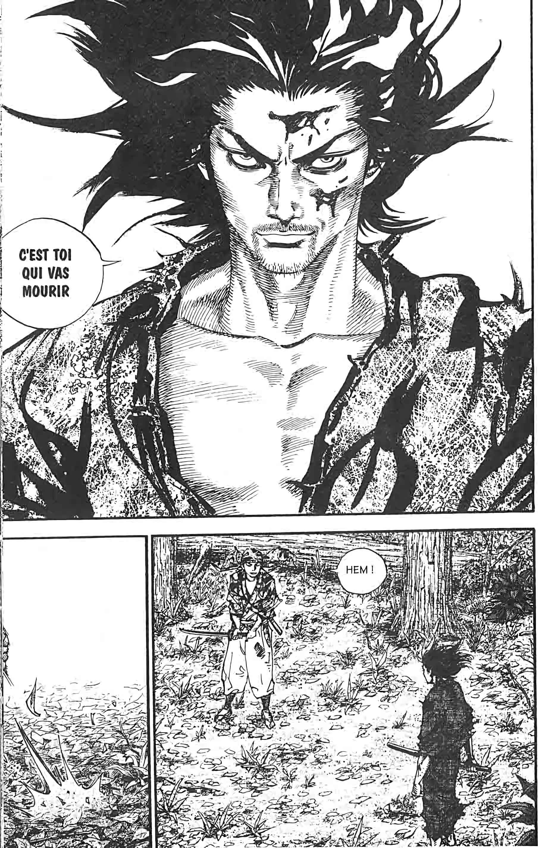 Read Vagabond FR Manga Online