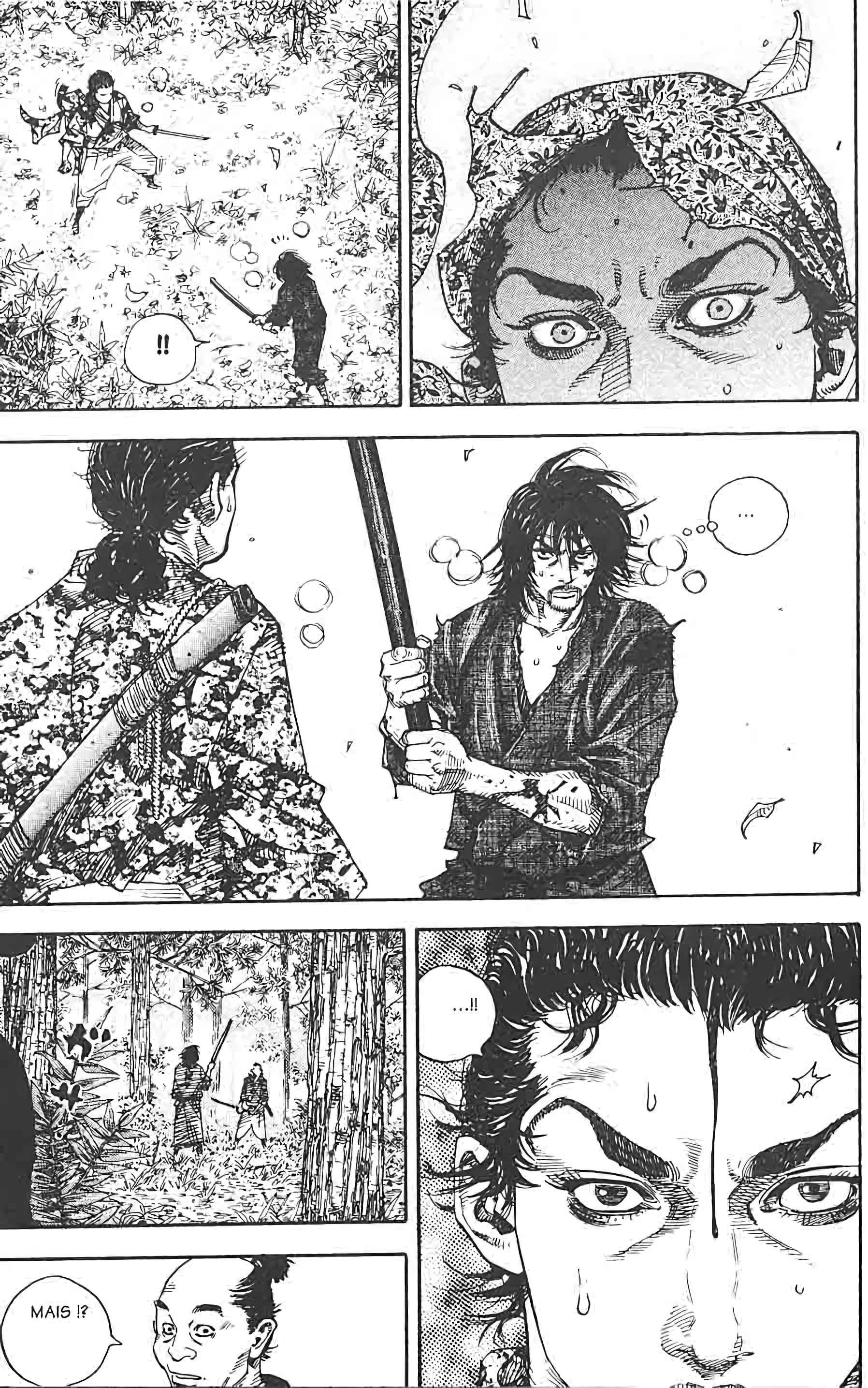 Read Vagabond FR Manga Online