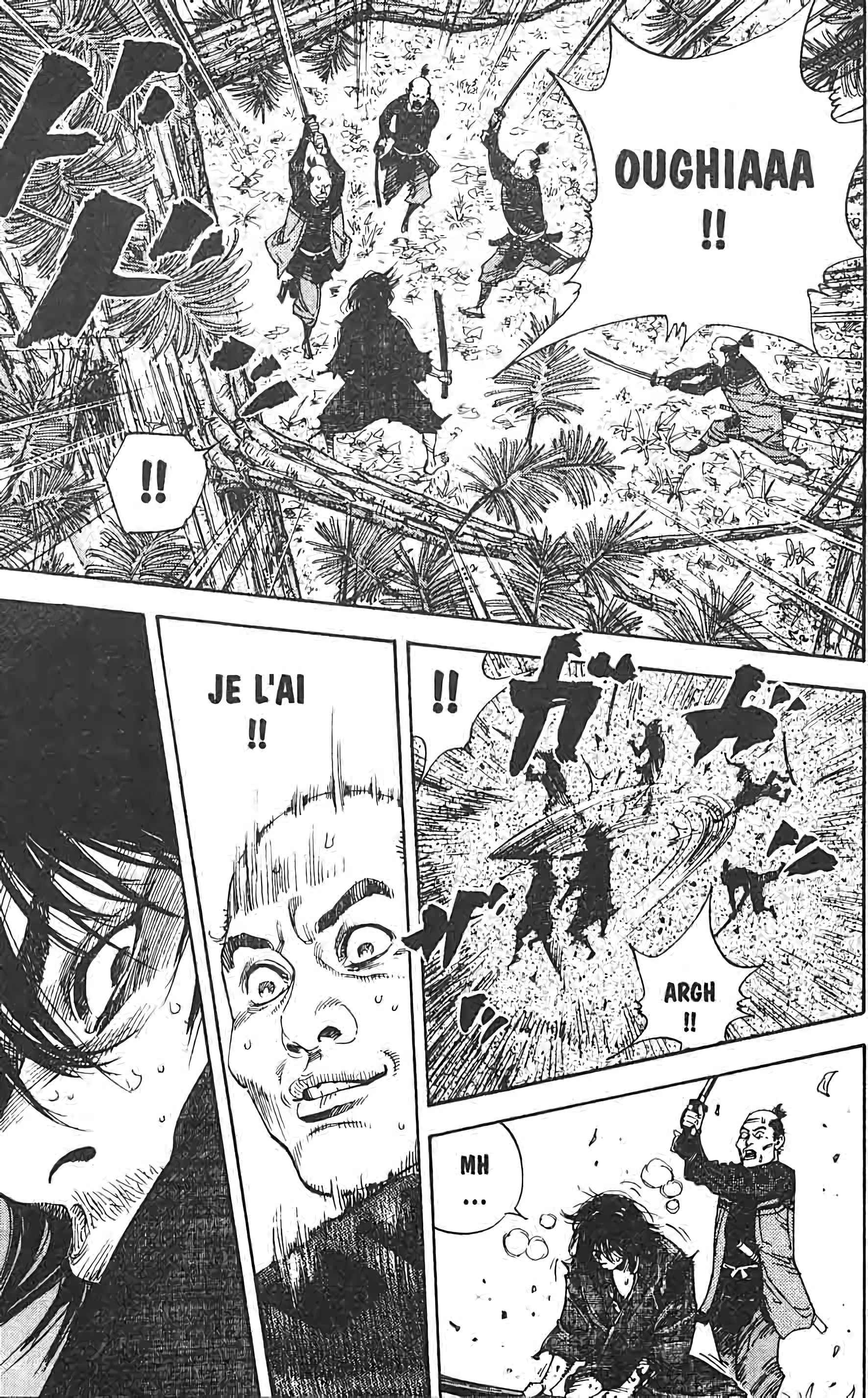 Read Vagabond FR Manga Online