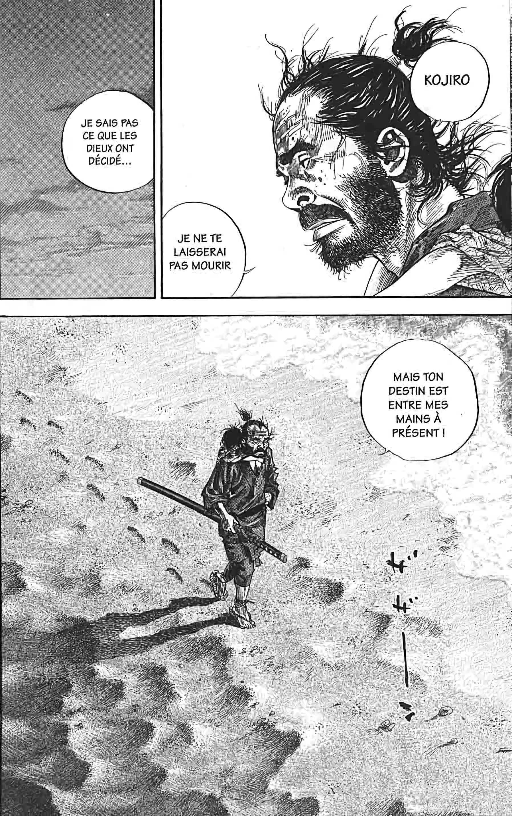Read Vagabond FR Manga Online