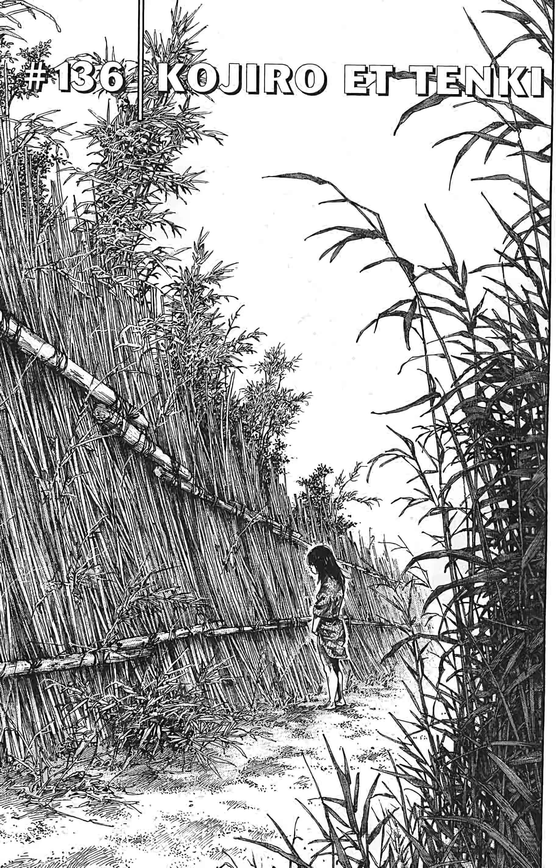 Read Vagabond FR Manga Online